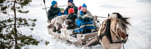 Horse and sleigh with happy adults and children