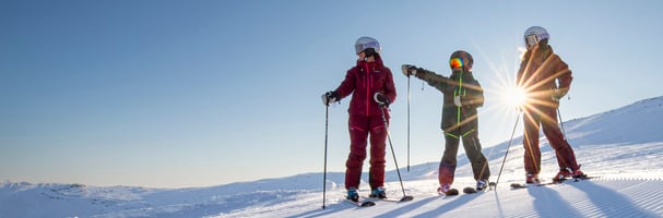 Family on the alpine slopes