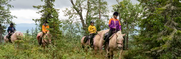Horseback riding in the forest