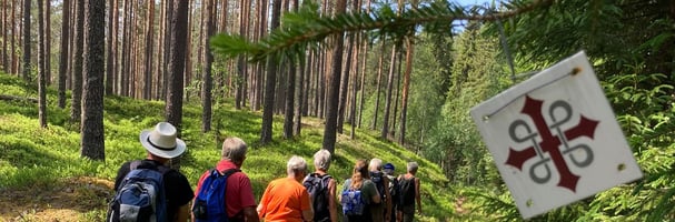 En samling med folk som går pilgrimsleden 