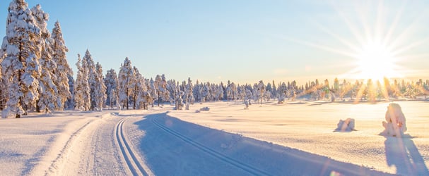 Langrennsløype i strålende sol