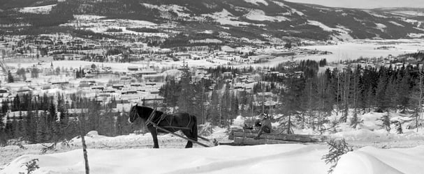 Man transporting timber with horse in 1977, with Trysilfjellet in the background