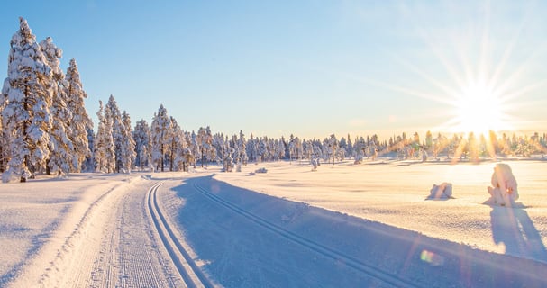 Oppkjørte langrennsløyper