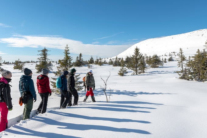 Guided snowshoeing in the mountains