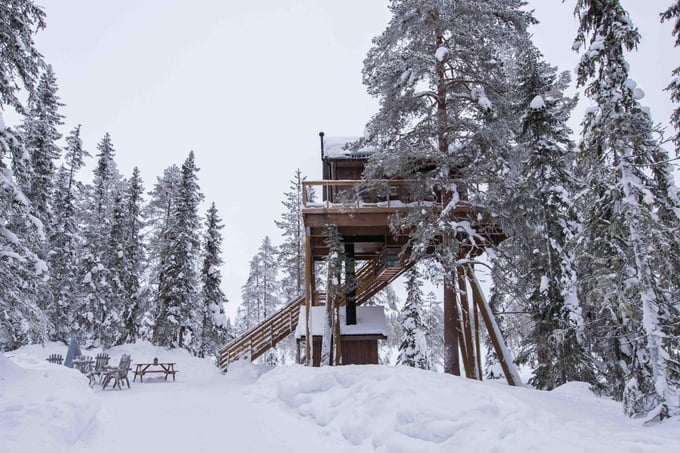 Treetop cabin in winter-clad forest