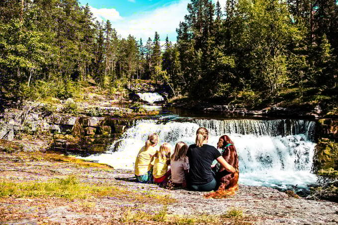 Family of four and a dog sit and look out over a small waterfall