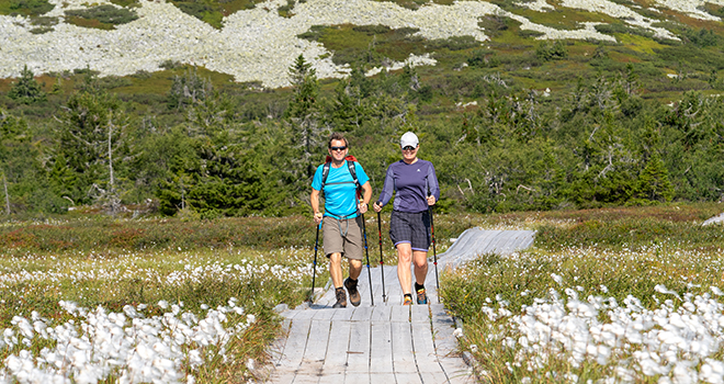 Fjellrunden