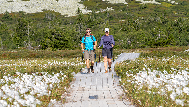 Høstaktiviteter på fjellet