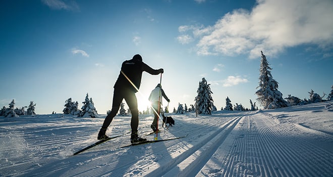 Langrenn i Trysil